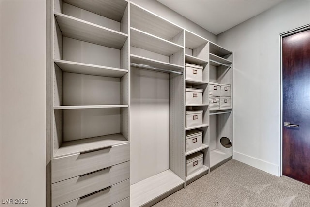 spacious closet with carpet