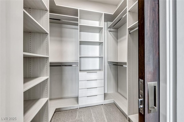 spacious closet featuring carpet floors