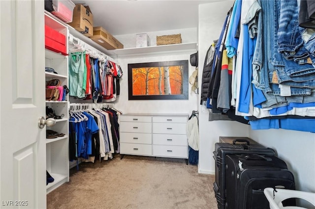 spacious closet with carpet floors