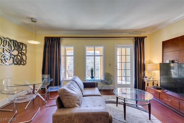 living area featuring baseboards, ornamental molding, and wood finished floors