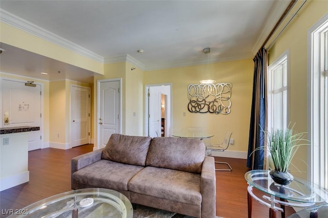 living area featuring crown molding, baseboards, and dark wood-style flooring