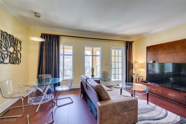 living area featuring baseboards, dark wood-type flooring, and crown molding