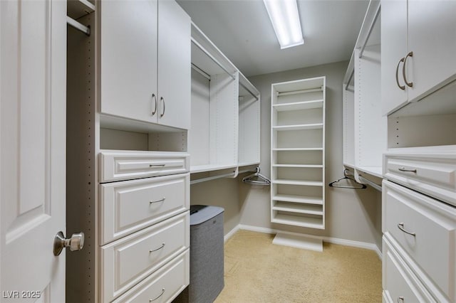 spacious closet featuring light colored carpet