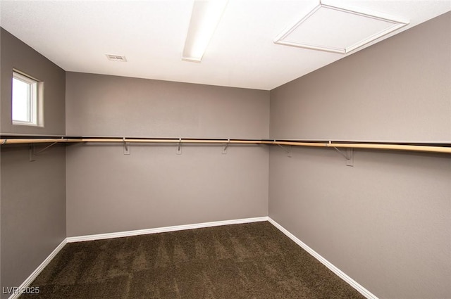 walk in closet with carpet and visible vents