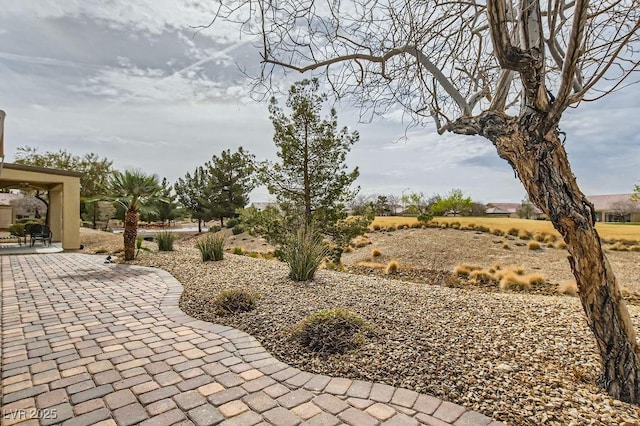 view of yard featuring a patio area