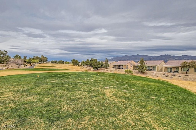 7567 Wingspread St, North Las Vegas, NV 89084 - view of grassy yard