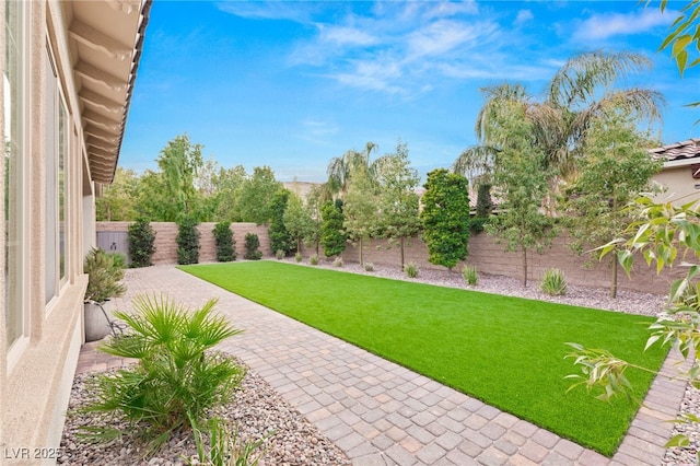 view of yard featuring a patio and a fenced backyard