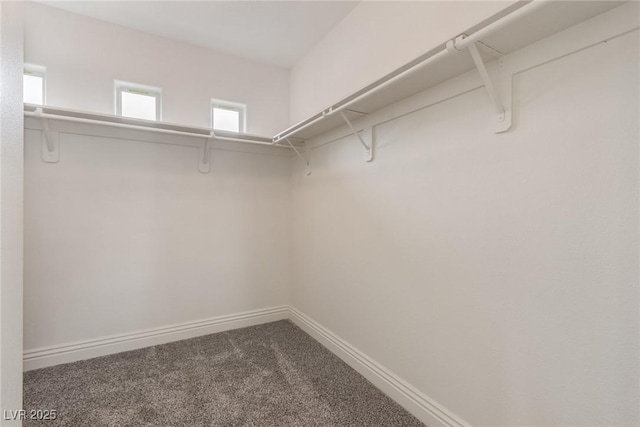 spacious closet with dark colored carpet