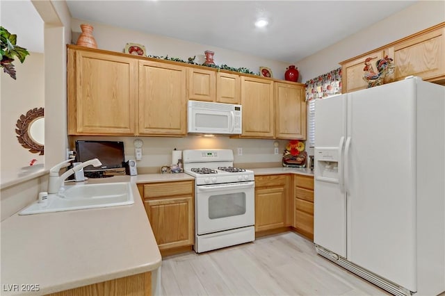 kitchen featuring light countertops, light brown cabinetry, light wood-style floors, a sink, and white appliances