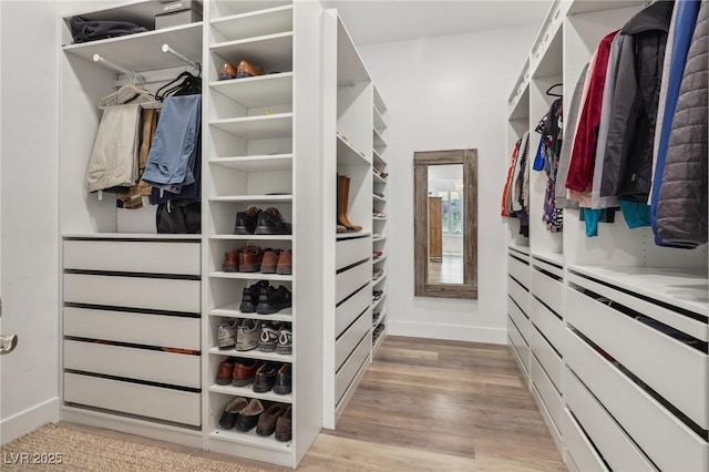 walk in closet featuring light wood finished floors