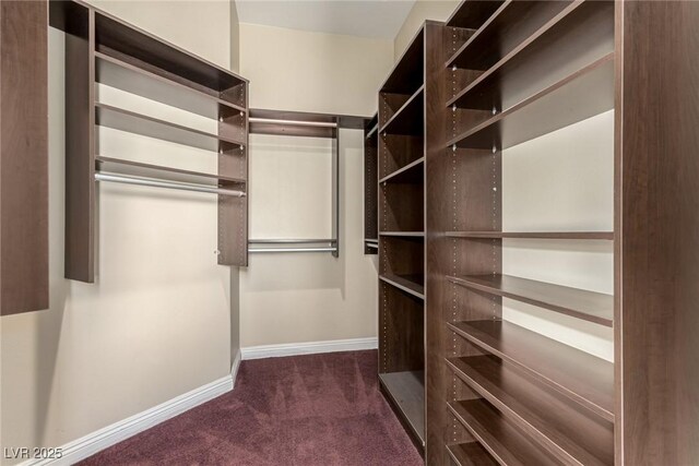 spacious closet featuring dark colored carpet