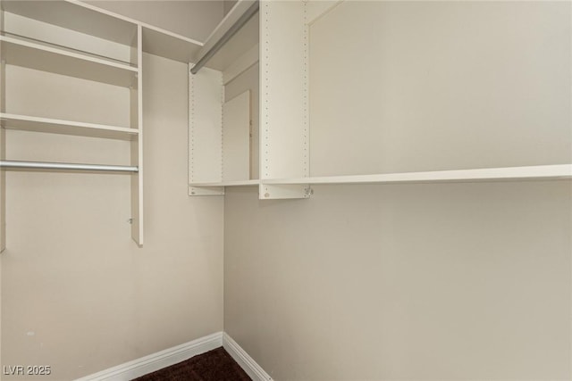 spacious closet featuring dark colored carpet