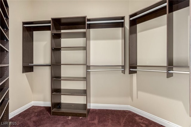 walk in closet with carpet floors