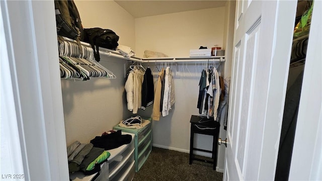 walk in closet with carpet floors