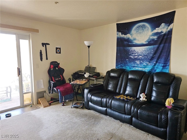 home theater room with carpet floors