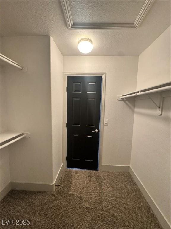 walk in closet with carpet