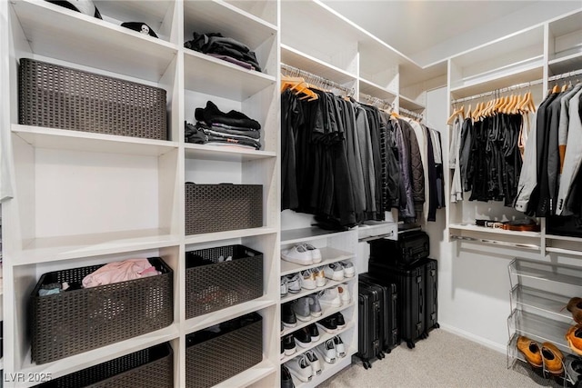 walk in closet with carpet