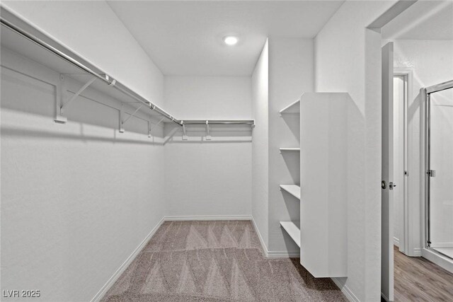 walk in closet featuring carpet floors