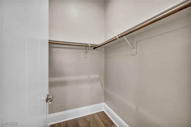 spacious closet with wood finished floors