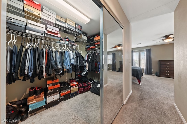 walk in closet with ceiling fan and carpet flooring