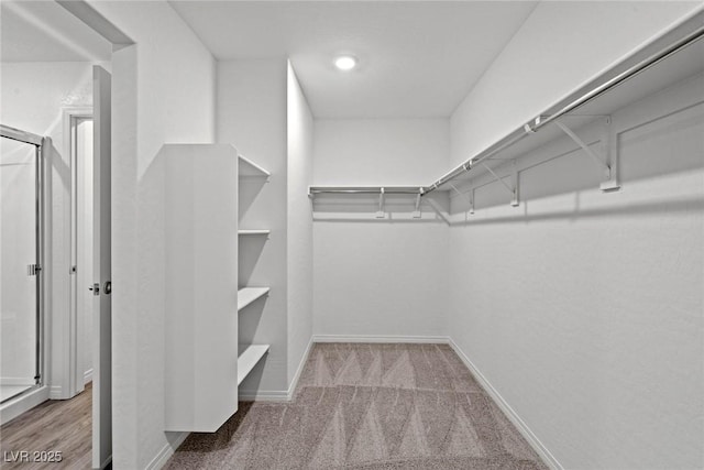 walk in closet with carpet floors