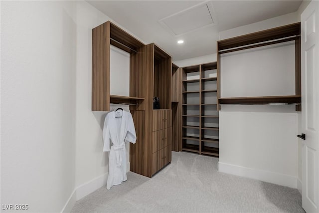 walk in closet with attic access and light colored carpet