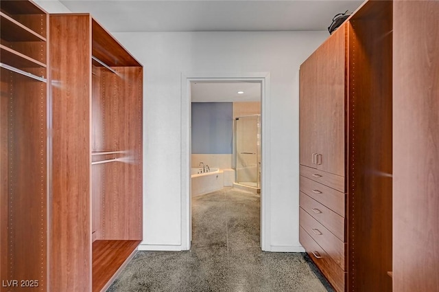 walk in closet featuring carpet