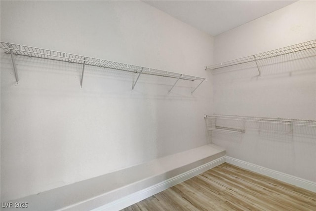 spacious closet with light wood-style flooring