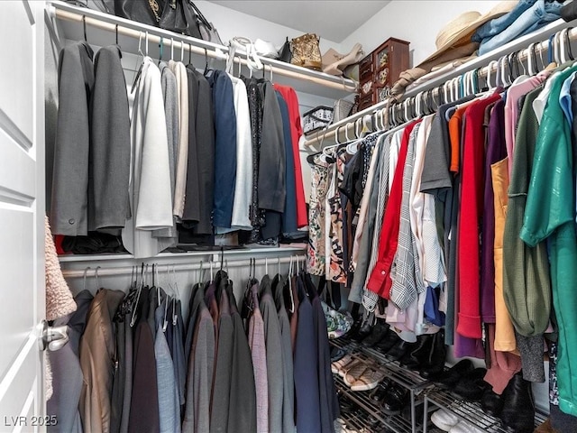 view of spacious closet