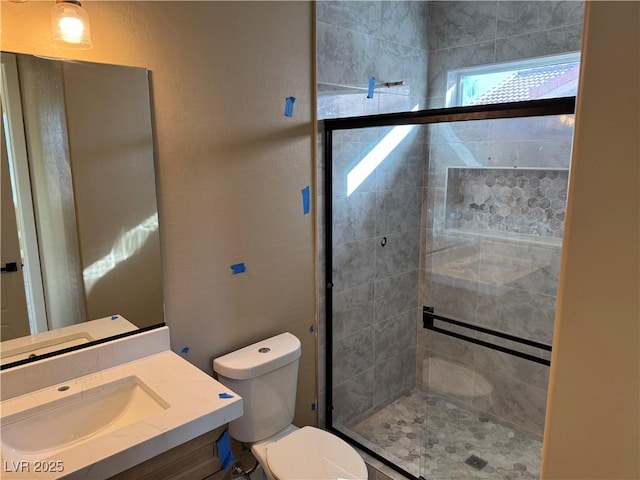 full bath featuring vanity, a shower stall, and toilet