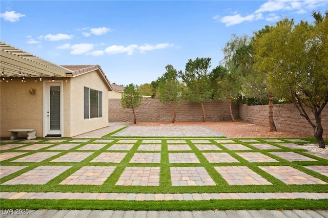 view of yard with a patio and a fenced backyard