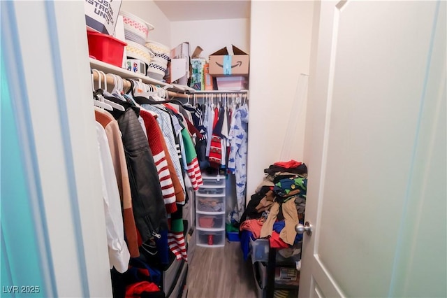 walk in closet featuring wood finished floors