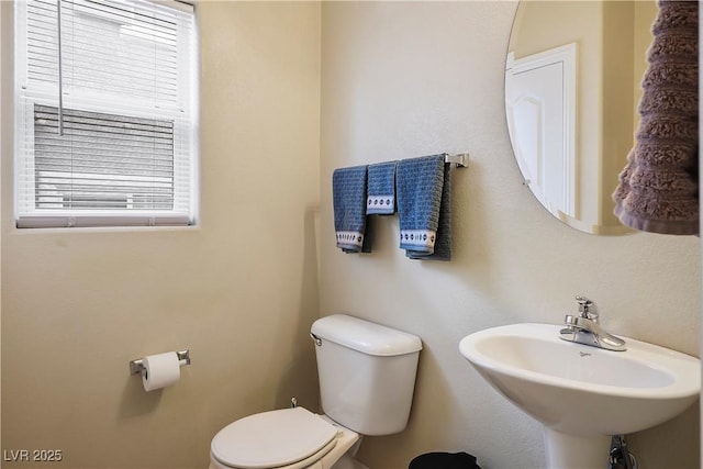 half bathroom featuring a sink and toilet