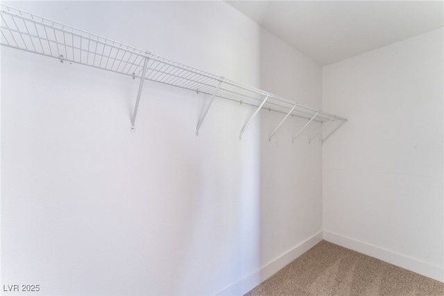 spacious closet with carpet