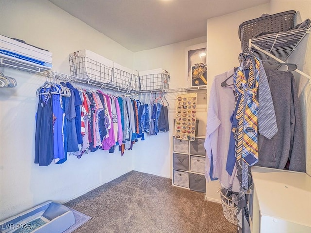 spacious closet with carpet floors