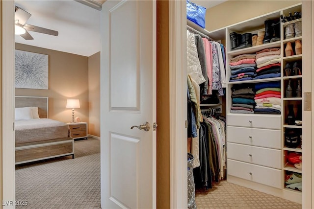 walk in closet featuring a ceiling fan and carpet floors