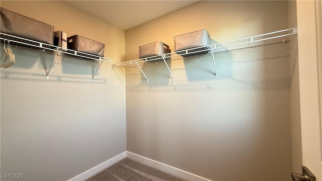 spacious closet with carpet floors