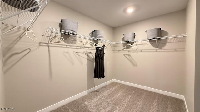 4181 Nopal Serrano Ave, Las Vegas, NV 89141 - walk in closet with carpet flooring