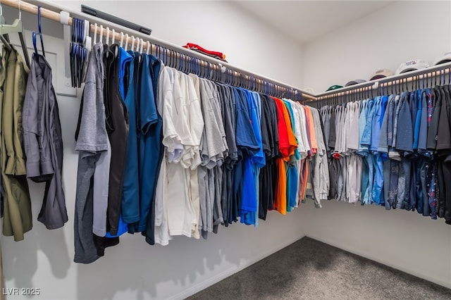 spacious closet featuring carpet