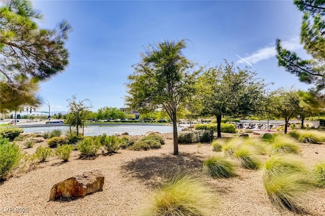 view of home's community with a water view