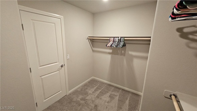 spacious closet featuring carpet floors