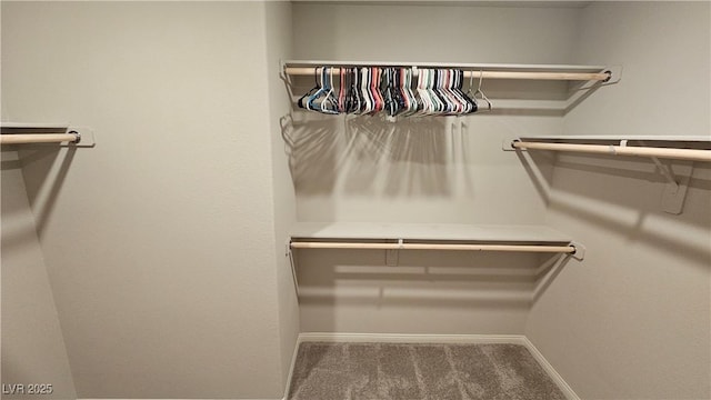 walk in closet with carpet flooring