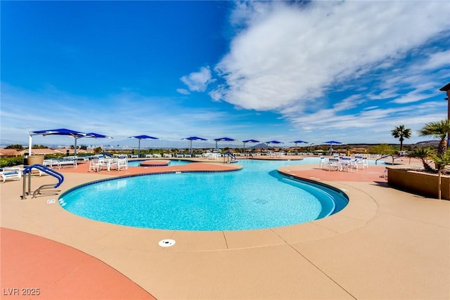 pool with a patio area