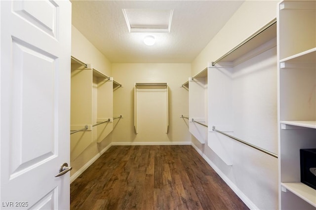 walk in closet with attic access and wood finished floors