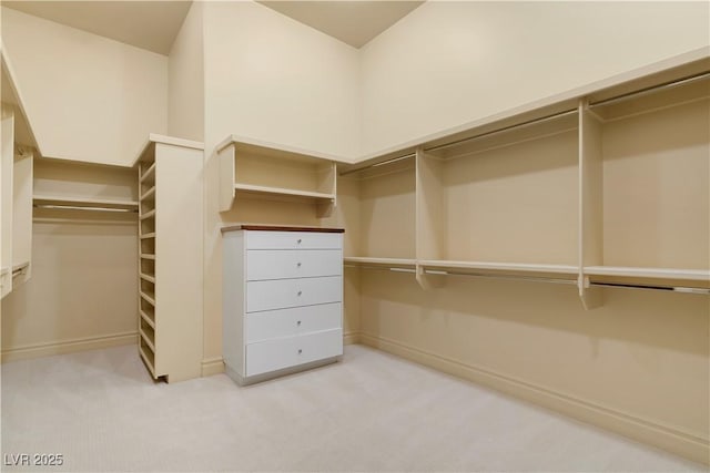 spacious closet with light colored carpet