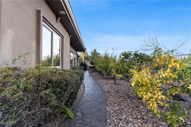 view of property exterior featuring stucco siding