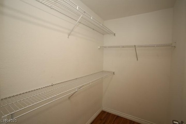 spacious closet featuring dark wood finished floors