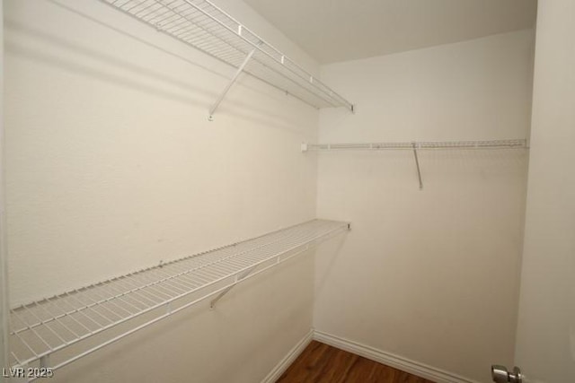 spacious closet with dark wood-style flooring