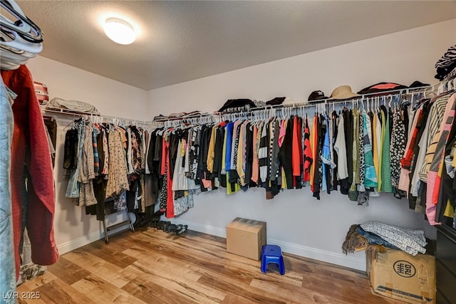 spacious closet featuring wood finished floors