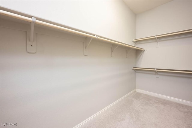 walk in closet featuring light colored carpet